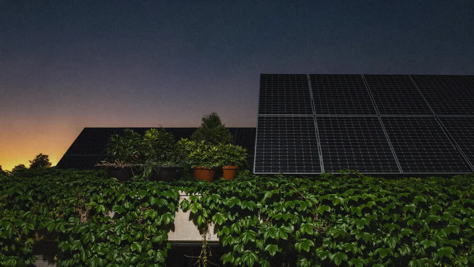 Créditos verdes para paneles solares en México